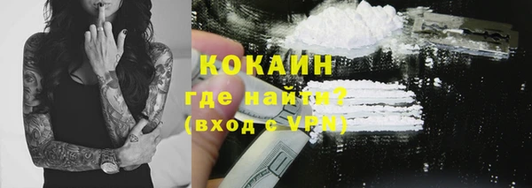 a pvp Бородино
