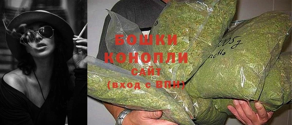 a pvp Бородино