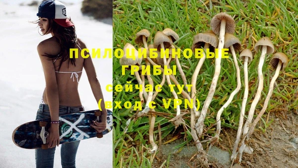 a pvp Бородино