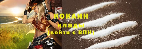 бошки Богородицк