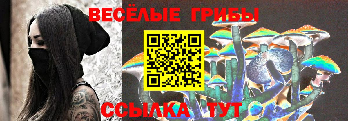 Псилоцибиновые грибы ЛСД  Вход с VPN  Гусев  Псилоцибиновые грибы Psilocybe 